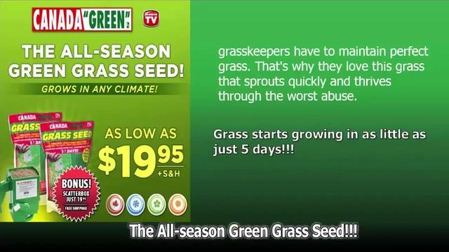 canada green grass seed review смотреть онлайн