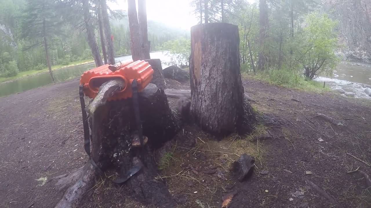 Норка ворует щуку смотреть онлайн