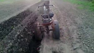 картофель под плуг мотоблока М 3
