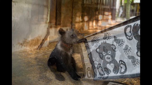 #Жесточайший #краш-тест смотреть онлайн