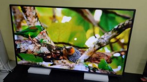 Телевизор 55 дюймов LG 55LH604V с дефектом