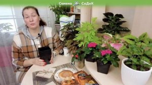 Выбираем тыквы для посадки с помощью эксперта.