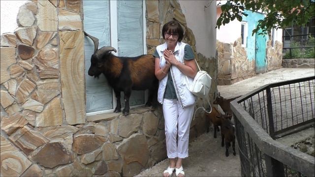 Зоопарк СКАЗКА смотреть онлайн