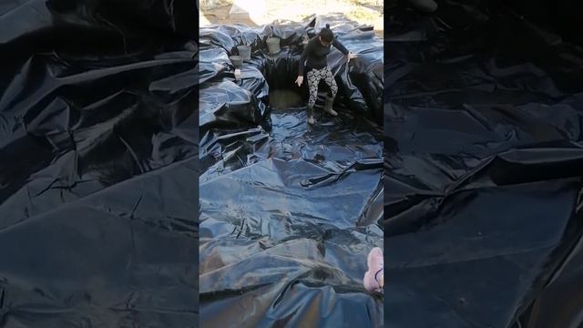Исполнение мечты