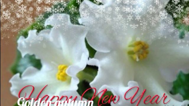 С Новым 2019 годом!!! Зимнее слайд-шоу с любимыми фиалками для Вас! смотреть онлайн