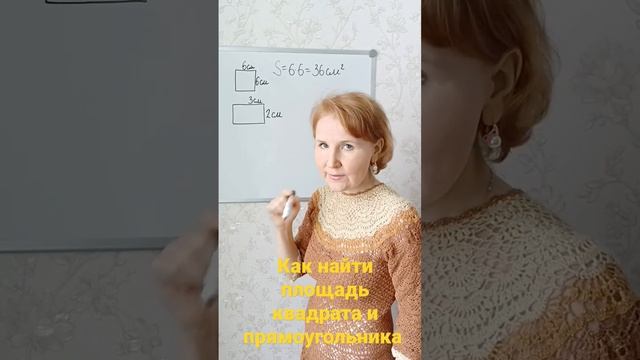 Как найти площадь квадрата и прямоугольника