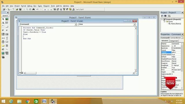 CheckBox Font Styles (Bold, Italic , Underline) in Visual Basic