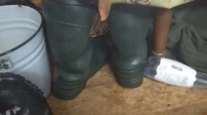 Фарадей ответы на вопросы 234, 089, 517, арктика