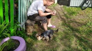 ДОМ В ДЕРЕВНЕ. ДЕНЬ 19. НА ЧТО ЛУЧШЕ КЛЕИТЬ ПОТОЛОЧНУЮ ПЛИТКУ? ПРИКРУТИЛИ ВСЕ РОЗЕТКИ. ЗАСЫПАЕМ ЯМУ