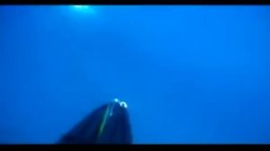 Подводная охота на Кинг Фиш