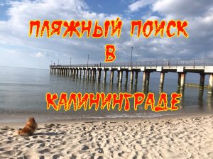 Пляжный поиск в Калининграде с металлоискателем XP Deus