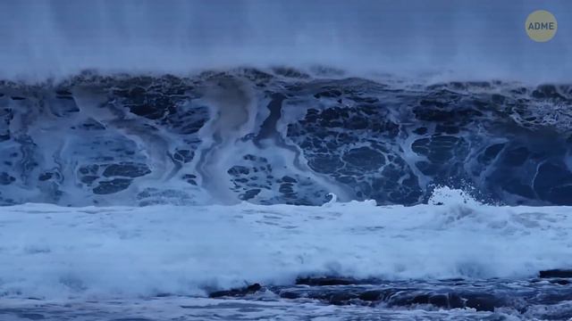 5 советов по безопасности на воде, которые стоит усвоить перед тем, как нырять