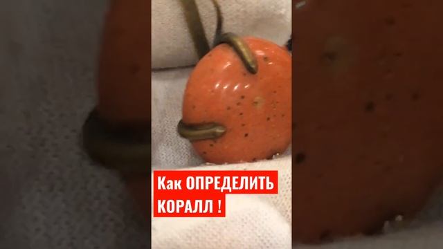 КАК ОПРЕДЕЛИТЬ КОРАЛЛ ?