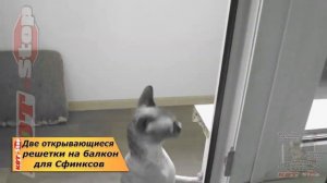 ? Защитная сетка решетка антикошка для кошки,на ЛЮБОЕ окно ОТКРЫВАЮЩАЯСЯ (на замках) КОТ-STOP