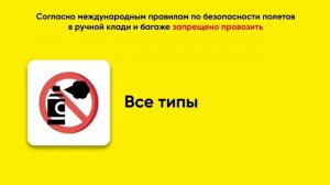 Требования к провозу ручной клади и багажа