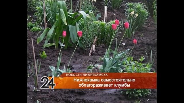 Жительница Нижнекамска занялась ландшафтным дизайном в своем дворе смотреть онлайн