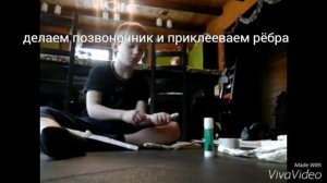 Как сделать модель скелета #1