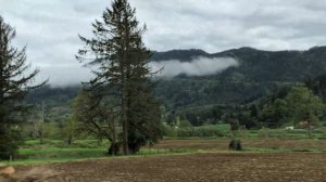 Дорога на океан через горы, from Sherwood to the ocean Rockaway Beach, OR