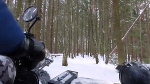 По старой тропе в новогодние