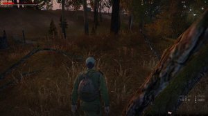 Первая встреча с Дикой собакой Stay out Окрестности Любеча