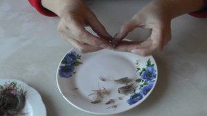 АЗИАТСКИЙ СУП - САМЫЙ ВКУСНЫЙ СУП