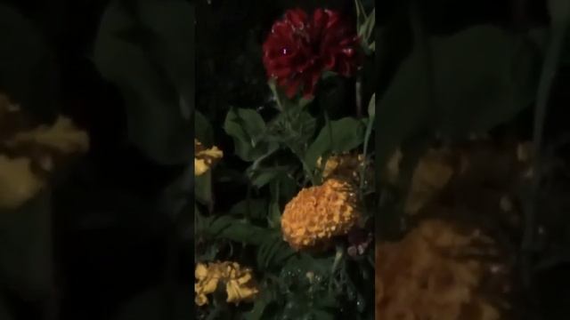 Никогда не делай выводов о человеке......