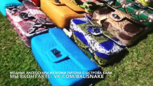 Модная сумка из кожи питона с острова Бали (Индонезия)