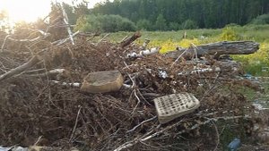 Несанкционированная свалка в лесу