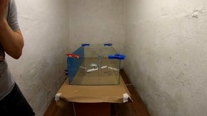 АКВАРИУМ СВОИМИ РУКАМИ по технологии. Инструкция сборки и склейки аквариума.