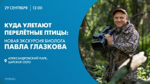 Куда улетают перелётные птицы: экскурсия биолога Павла Глазкова в Александровском парке
