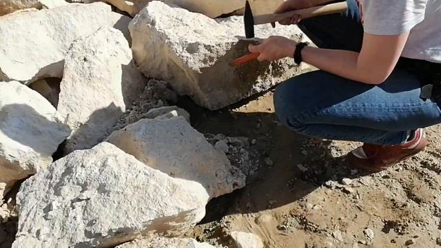 Палеонтологическая экскурсия в Домодедовский карьер