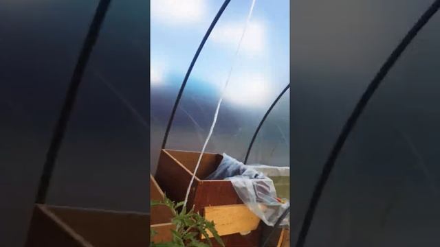 Гидропоника своими руками из труб смотреть онлайн