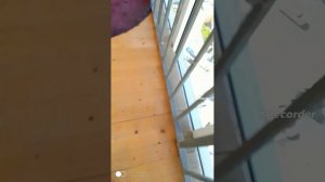 сборник! про ономалии