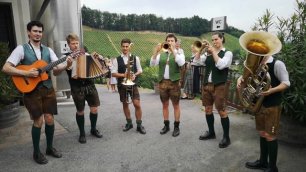 Сельский оркестр в Южной Австрии на празднике вина