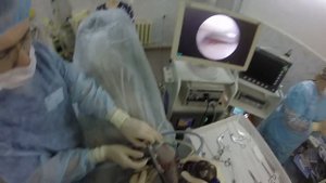 Как принимается решение о релизе мениска у собак. Артроскопия колена. www.endovet.su