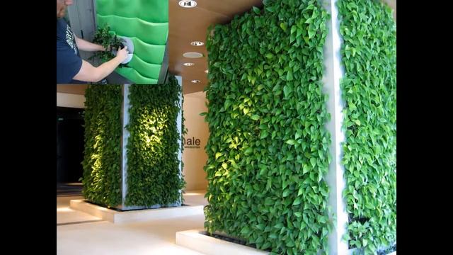 Направление подготовки "Агрономия" смотреть онлайн