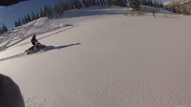 Avalanches. Лавины смотреть онлайн