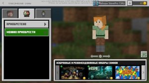 КАК НАДЕТЬ ПЛАЩ НА СВОЙ СКИН В MINECRAFT PE 1.14.0.3?