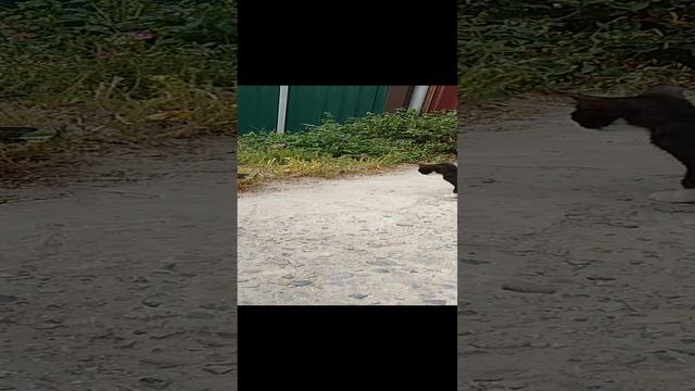 Страшная бумажка
