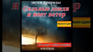 Пляж галечный с морских птиц: звуки природы (Bonus Track)