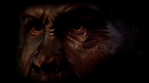 ДРЕВНИЙ ЧЕЛОВЕК - ЧЕЛОВЕК УМЕЛЫЙ (HOMO HABILIS). ХАРАКТЕРИСТИКА. ОБРАЗ ЖИЗНИ