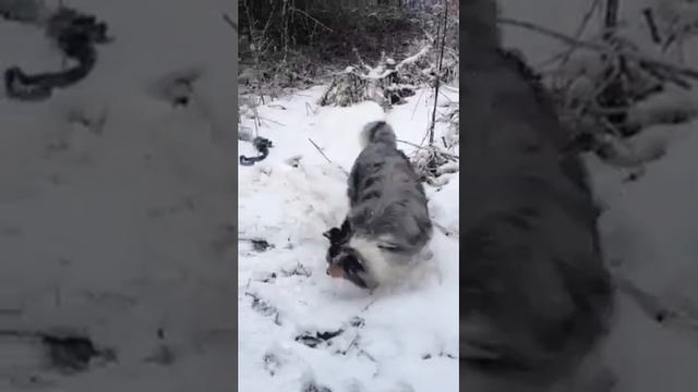 Winterspiele 2 смотреть онлайн