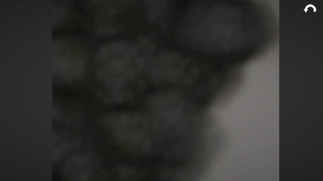 1 августа 2022 г. смотреть онлайн