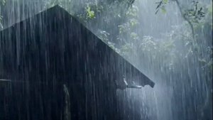 Шум дождя для сна Rain