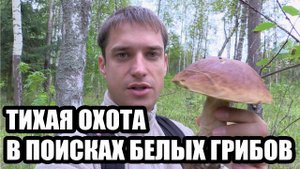 Тихая Охота -  В Поисках Белых Грибов