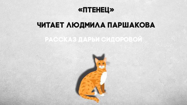 Рассказ "Птенец" автор Дарья Сидорова. Читает Людмила Паршакова смотреть онлайн