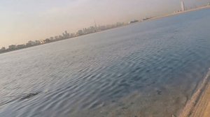 Рыбалка с берега в Дубае #dubaishorefishing #дубайрыбалка #рыбалкаоае
