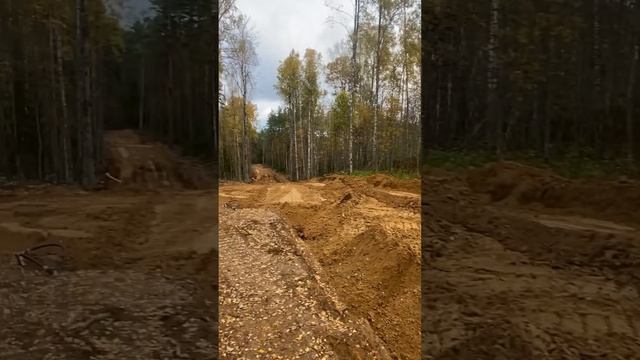 Строим дорогу в лесу с нуля #caterpillar #спб #строительстводорог
