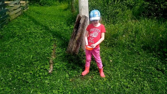 БОРЩЕВИК ЗАХВАТИЛ ЗЕМЛЮ! НАРОД ПРОТИВ БОРЩЕВИКА! СОНЯ ПОБЕЖДАЕТ БОРЩЕВИК! смотреть онлайн