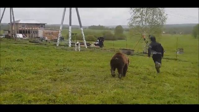 Как победить медведя // Деревенский мастер-класс